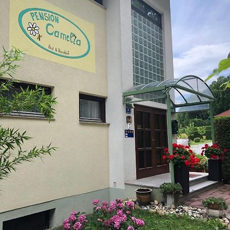 Haus Camelia Bed & Breakfast Bad Tatzmannsdorf Bagian luar foto