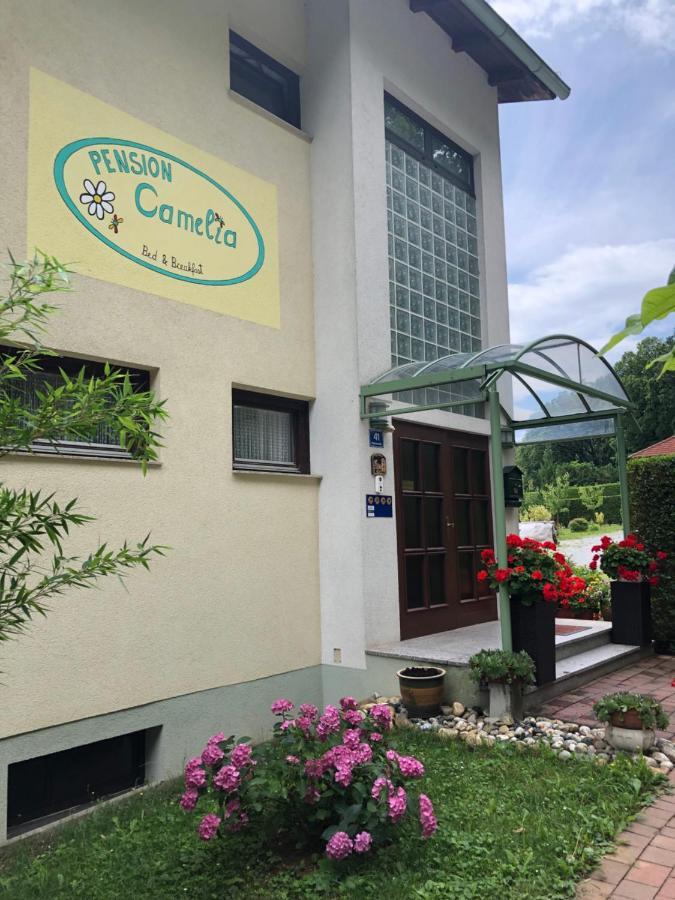 Haus Camelia Bed & Breakfast Bad Tatzmannsdorf Bagian luar foto